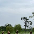 선사유적공원 이미지