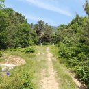 동정동100 이미지