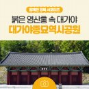 명심보감 전래동화 | [5월 아이와 가볼 만한 곳] 붉은 영산홍 물결 속 대가야의 숨결 ‘대가야종묘역사공원’