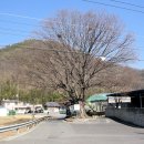 죽청마을 이미지