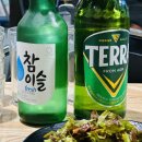 뿅카는생막창오창