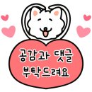 쪽갈비에 미치닭 이미지
