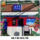 종착역센텀반여점 | 금사회동동 맛집 종착역 센텀반여점 후기 좋았던 곳 위치 가격 리뷰 알아보자