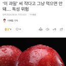 ‘이 과일’ 씨 작다고 그냥 먹으면 안 돼… 독성 위험 이미지