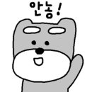 반려반상 이미지