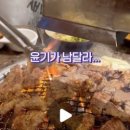 신촌새나리 이미지