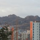 영산빌딩 Daum카페