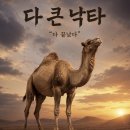 매키펍 | 26년4,5,6월