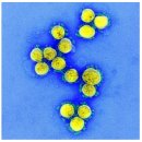 (주)비온텍 이미지