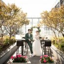 노보텔 앰배서더 서울 동대문 호텔 이미지