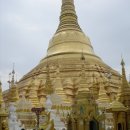 쉐다곤 파고다(Shwedagon Pagoda) 2009.8 이미지