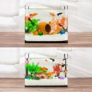 삼호수족관