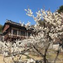 도산 이미지