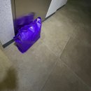 행복세탁 | 방문 세탁 어플 추천 런드리고 후기 친구코드 P4VKEQCC 운동화 모자 패딩