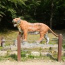 수다라성보박물관(영광불갑사) 이미지