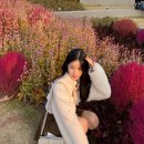 딥스터디