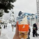 장은타워 | 2 - 비에이투어 추천 / 삿포로 크리스마스 마켓 / 삿포로 TV타워 / 케야키 스스키노 본점 후기 / 디너벨