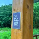 휘영청이 이미지
