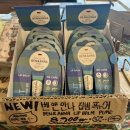 콩댝콩댝 네이버블로그