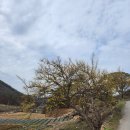 상천리 마을회관 이미지