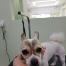 개도만족 이미지