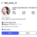 비비룸