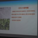 푸레기농어촌체험휴양마을 이미지