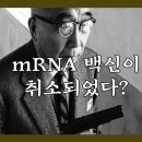 사람들은 왜 자료를 찾아보지도 않고 연막탄에 속는 것일까? 이미지