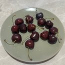 (주)브레인시티주유소 | [뉴질랜드 워홀 D+87-9] 골드키위가 돌아온 와이탕이 데이