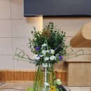성전부동산