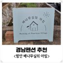 배나무실의 아침 이미지