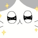 고양이이발관 송도점 이미지