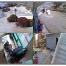 순복이네 이미지