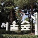 달리는숲 | 서울 러닝 코스, 내 맵에 식빵 한 조각 구웠다! 성수동 서울숲 "식빵런" 코스 후기