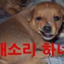 불러라 이미지