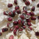 올레 쉼터 이미지