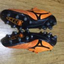 네오엑스 이미지