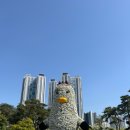 부산시민공원 | 부산 서면 아기랑 가기 좋은 곳 부산시민공원 방문 후기 (봄꽃 전시회)
