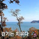 11500-7-03-17 이미지