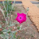 동자경로당 이미지