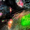 나들이공원 배드민턴장 이미지