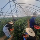 대산행정복지센터 이미지