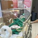 미즈맘산부인과의원 이미지