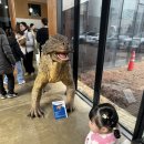 경산공룡박물관(휴관) | 공룡 이름 외우는 22개월 아기와 공룡박물관 다녀온 이야기