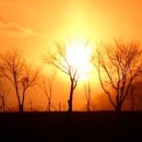 아산아구찜 이미지