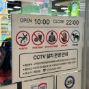 이마트 | 다이소 이마트의왕점 후기, 주차 편한 초대형 매장 쇼핑 추천