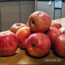 엔비(Envy) | 코스트코 과일 ENVY 엔비사과 후기