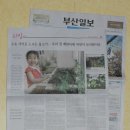 꼬마연못 이미지