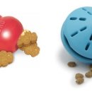 북아현동물병원 이미지