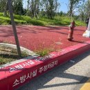 주정차단속-11 이미지